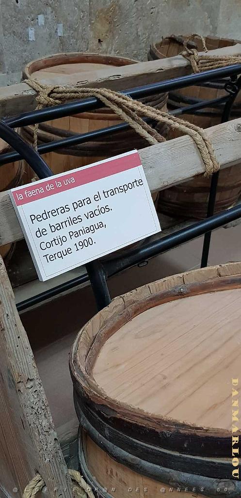 HOMMAGE A N.D. DE SANTA CRUZ A DALIAS DU 7 AU 10 JUIN 2019 (258) ESCAPADE A TERQUE.jpg